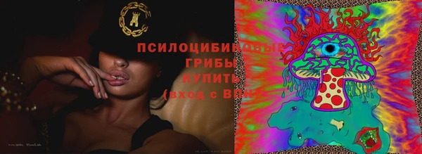 прущий лед Алексеевка