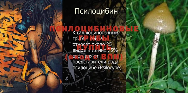 хмурый Алзамай