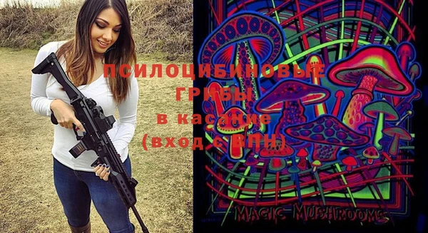 прущий лед Алексеевка