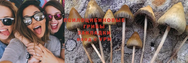 прущая мука Алексин