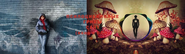 прущая мука Алексин