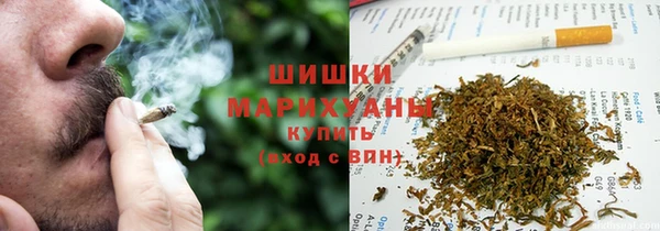 хмурый Алзамай