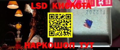 индика Рыбинск