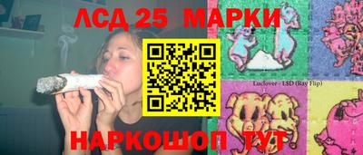 индика Рыбинск