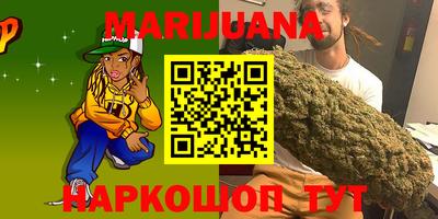 индика Рыбинск